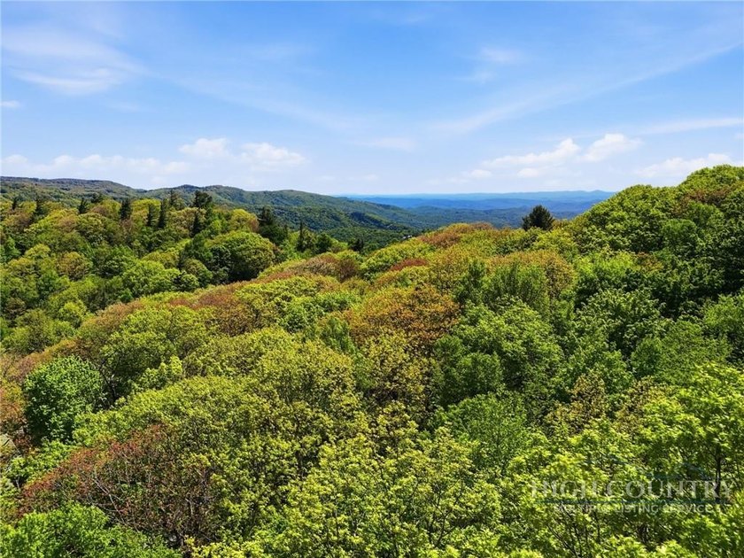 Great opportunity to build your dream home in the sought-after - photo 14