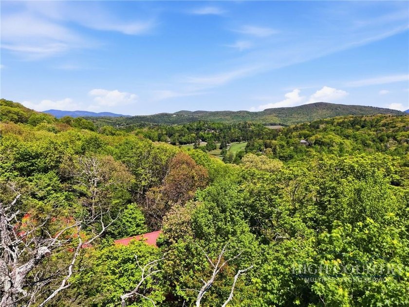 Great opportunity to build your dream home in the sought-after - photo 29