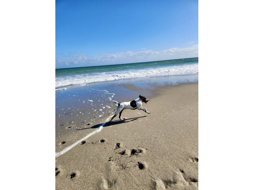 Rare beachside opportunity in Jupiter Ocean &amp; Racquet Club: - photo 31