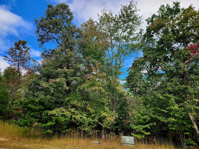 A 5-minute walk (2,5000 ft. roughly away) to the covered - photo 5