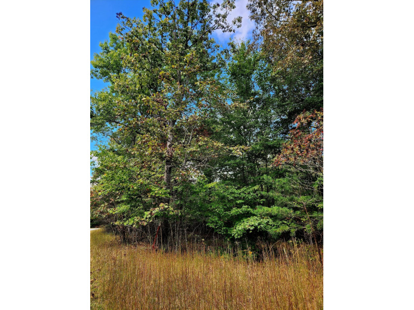 A 5-minute walk (2,5000 ft. roughly away) to the covered - photo 9