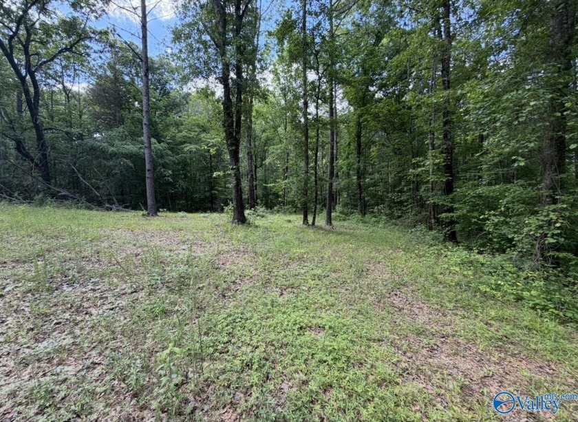 Unlock the potential of this exceptional, unrestricted 37-acre - photo 5