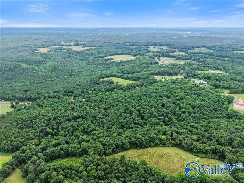 Unlock the potential of this exceptional, unrestricted 37-acre - photo 6