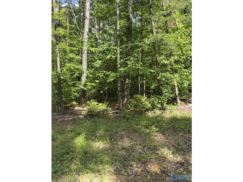 Unlock the potential of this exceptional, unrestricted 37-acre - photo 7