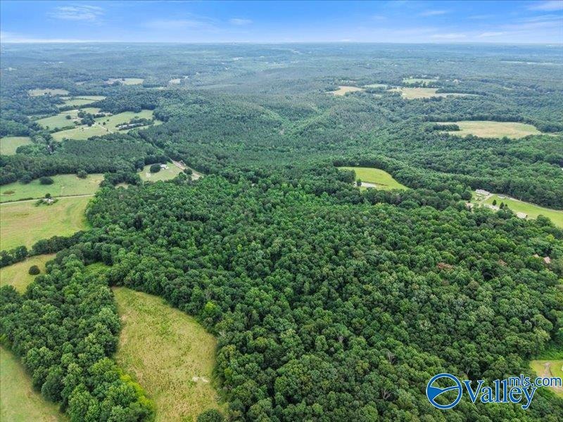 Unlock the potential of this exceptional, unrestricted 37-acre - photo 8