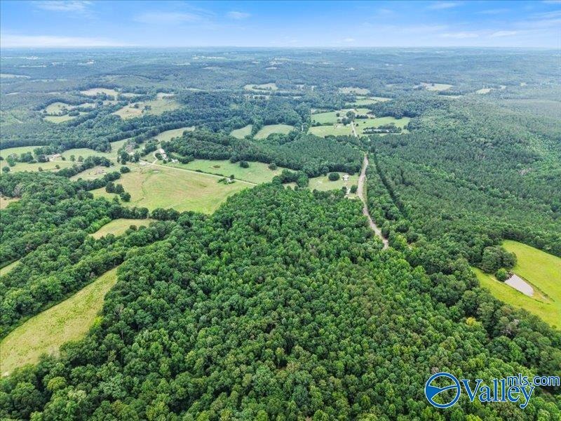 Unlock the potential of this exceptional, unrestricted 37-acre - photo 9