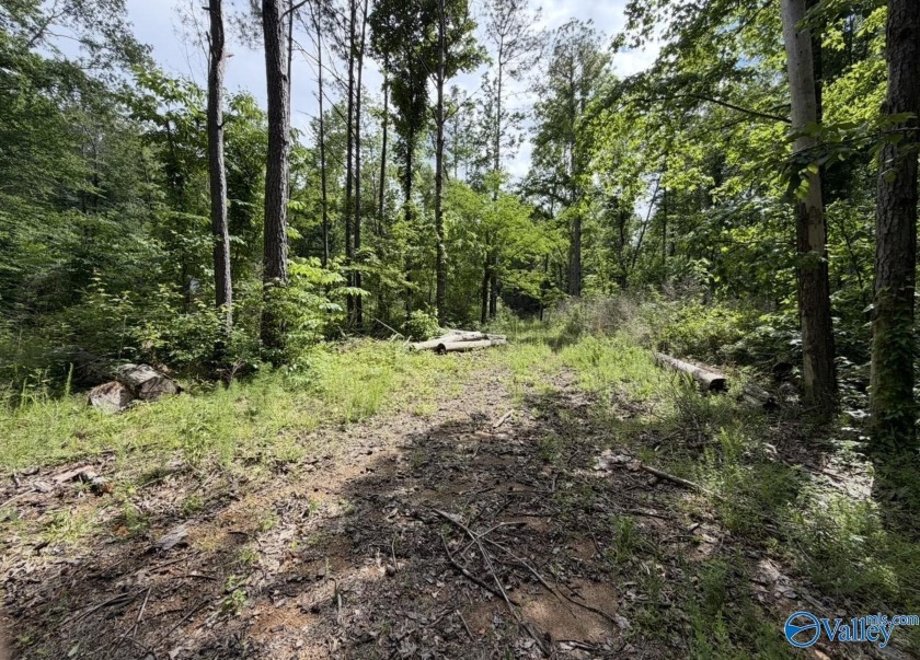 Unlock the potential of this exceptional, unrestricted 37-acre - photo 10