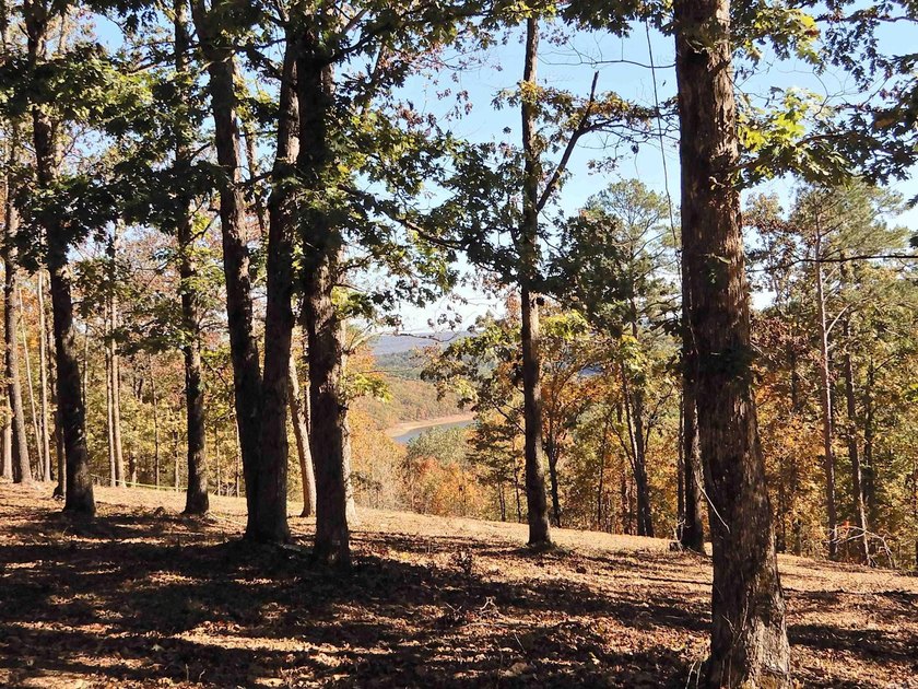 Drive by and look at 3 LOTS (each LOT is one + acres for a total - photo 11