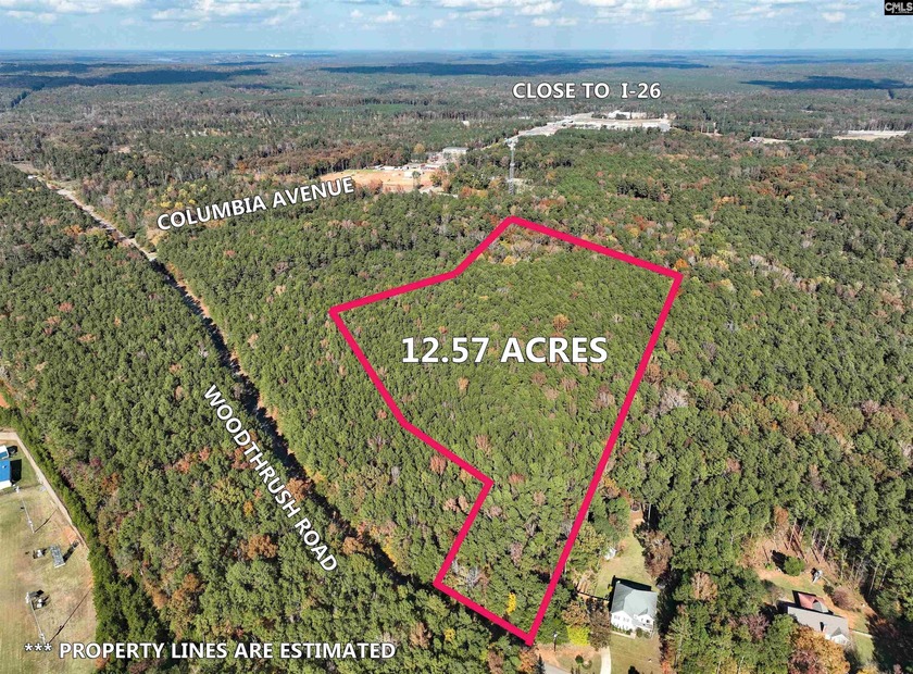 This exceptional commercial lot offers a unique opportunity to - photo 2