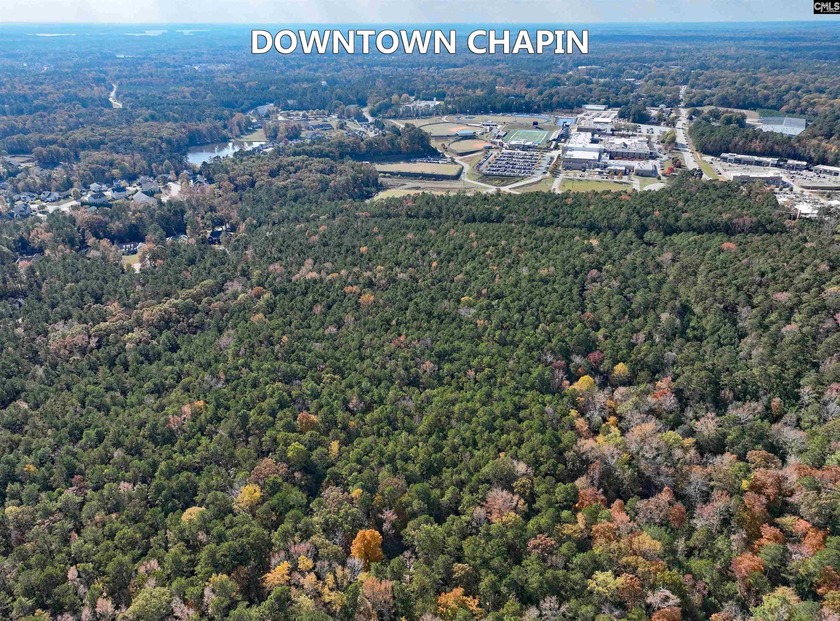 This exceptional commercial lot offers a unique opportunity to - photo 3