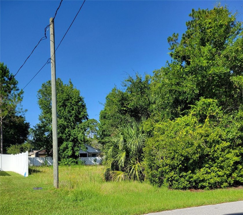 Build your dream home on this mostly cleared residential lot in - photo 3