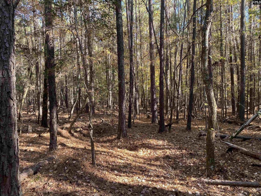 This exceptional commercial lot offers a unique opportunity to - photo 4