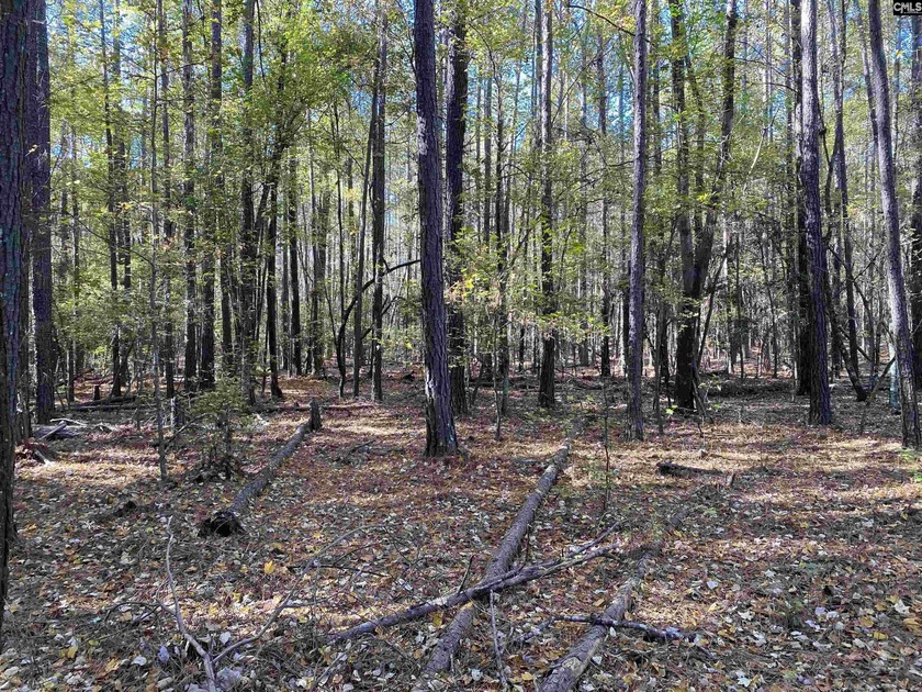 This exceptional commercial lot offers a unique opportunity to - photo 5