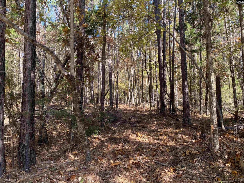 This exceptional commercial lot offers a unique opportunity to - photo 6