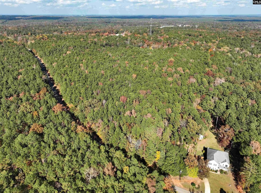 This exceptional commercial lot offers a unique opportunity to - photo 7