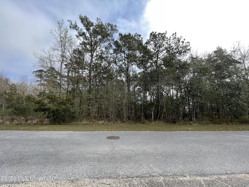 Great location. A short drive to Ingalls, Pascagoula, Ocean - photo 11