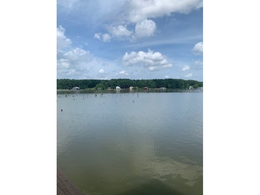 Wonderful Main Lake Views - photo 16