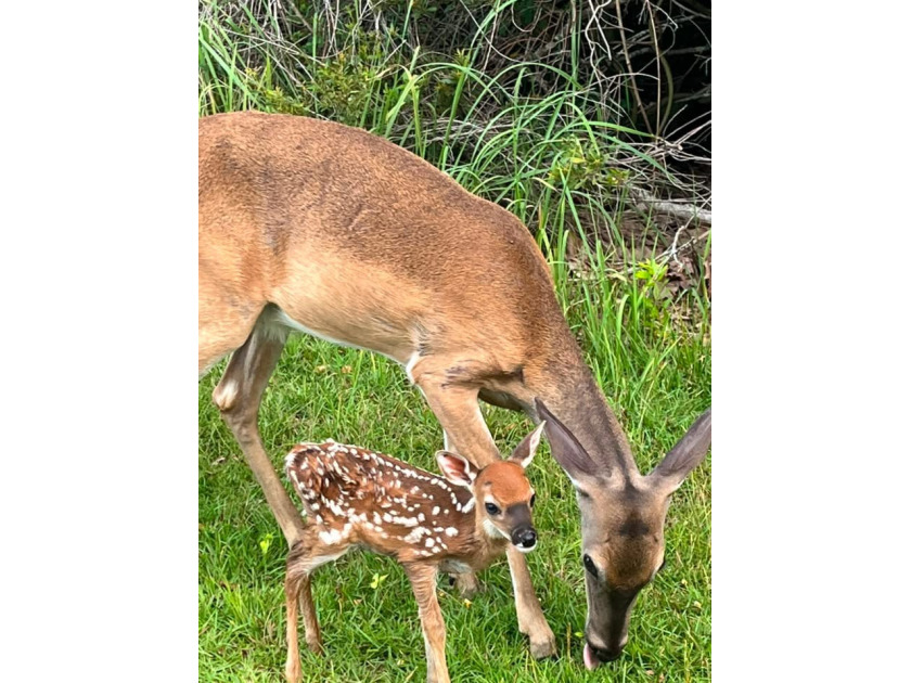 Love To See The New Born - photo 25