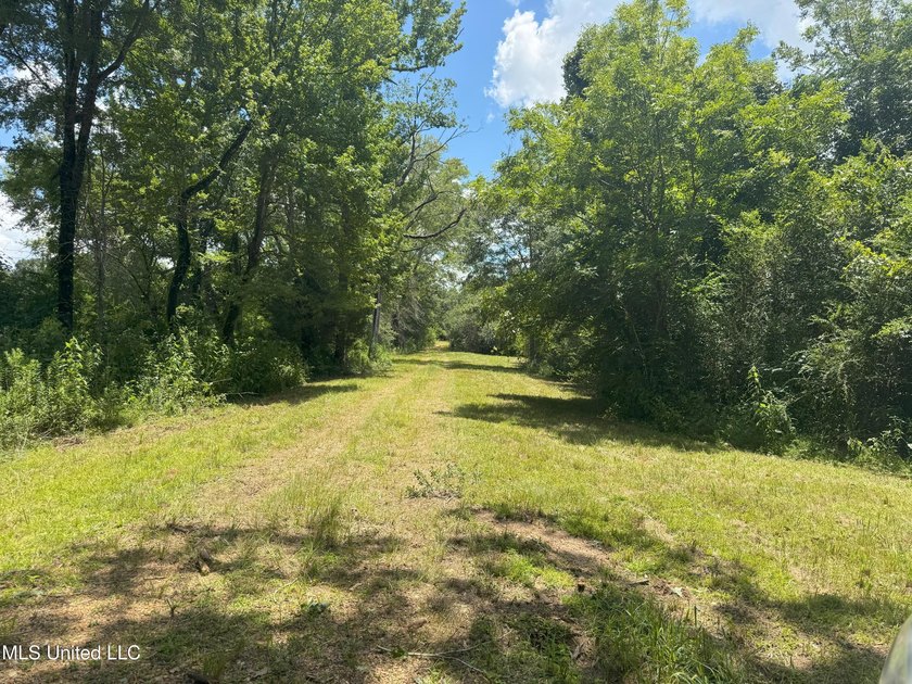 This is a one-of-a-kind gem of a tract. It's literally within 5 - photo 4