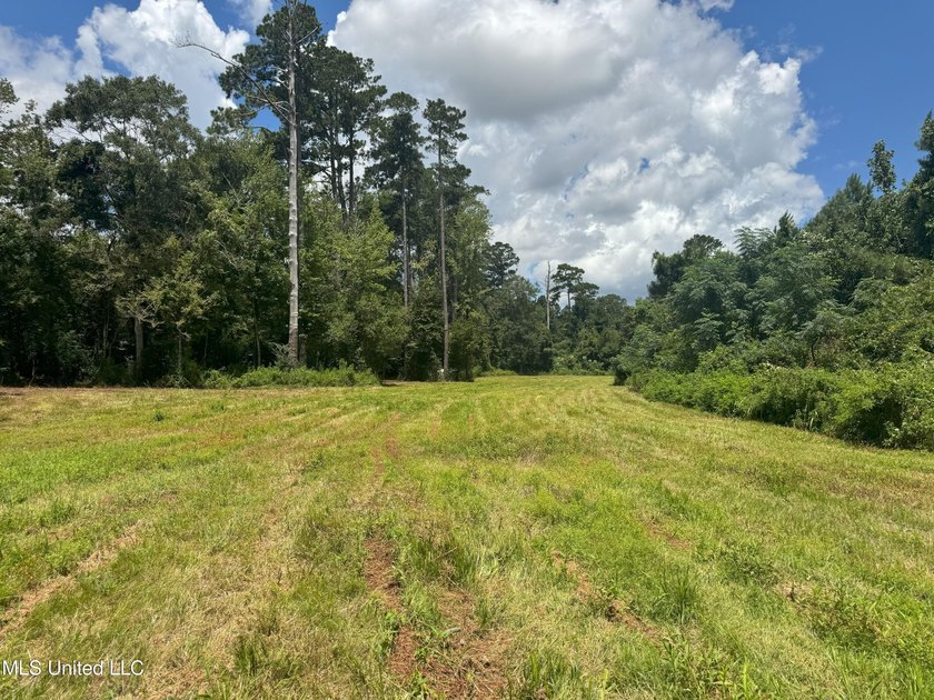 This is a one-of-a-kind gem of a tract. It's literally within 5 - photo 8