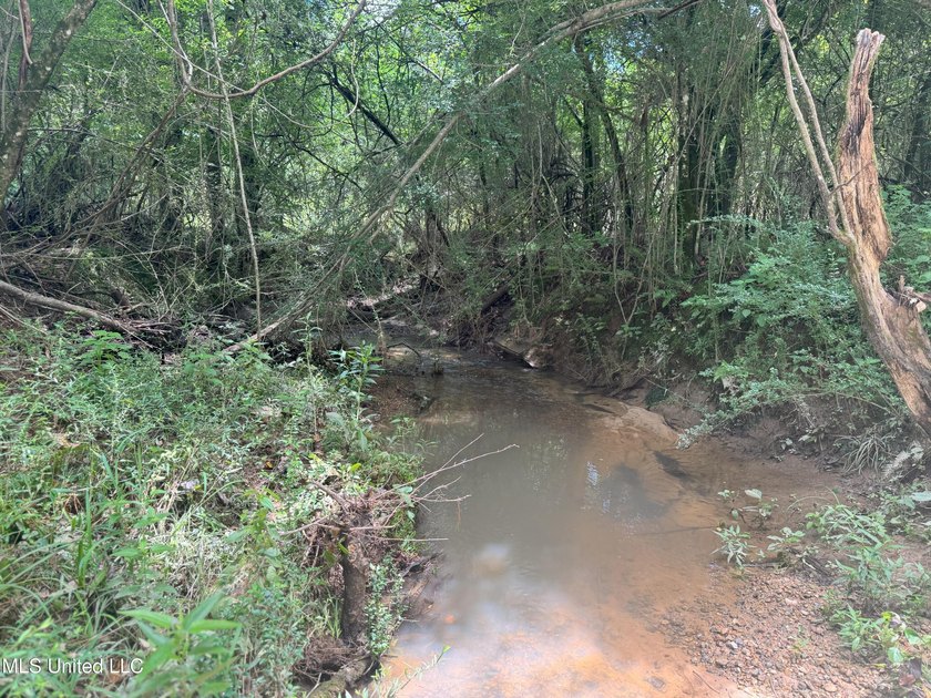 This is a one-of-a-kind gem of a tract. It's literally within 5 - photo 9