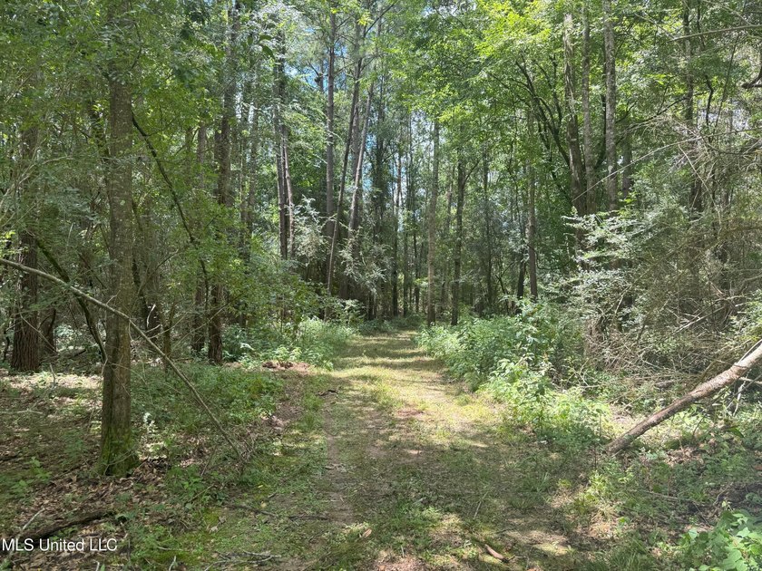 This is a one-of-a-kind gem of a tract. It's literally within 5 - photo 10
