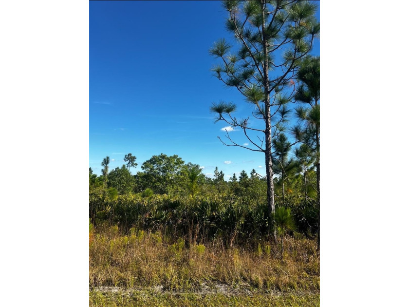 Land Opportunity in Pinnata - Built for the Future ? This - photo 2