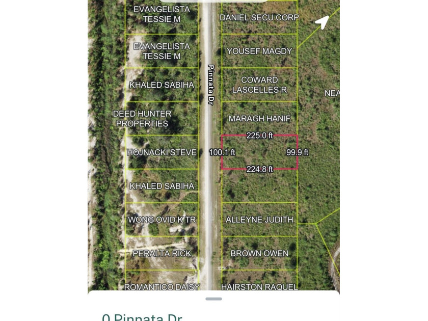Land Opportunity in Pinnata - Built for the Future ? This - photo 4