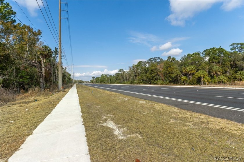 Positioned along busy US Hwy 19/98 in Homosassa, this 49.23+/- - photo 19