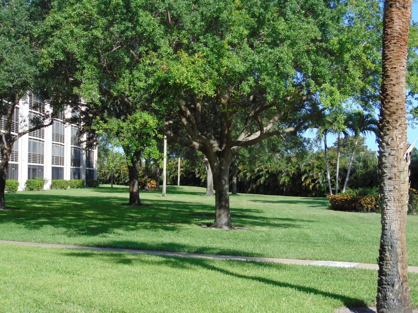 FIRST FLOOR. MOVE IN READY. COVERED PARKING. IMMACULATE JUMBO - photo 35