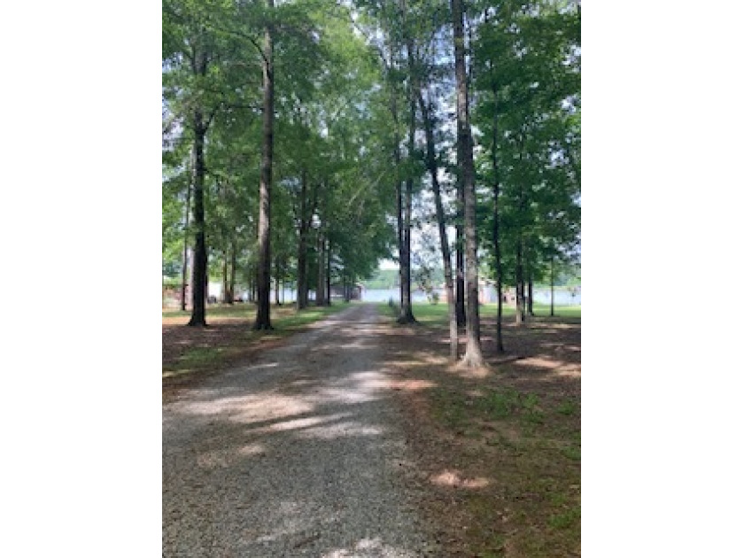 Driveway 
View From Road - photo 3