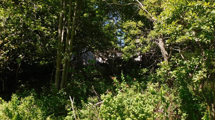 17 +/- acres with 700' +/- shorefront on Boyden's Lake with a - photo 11