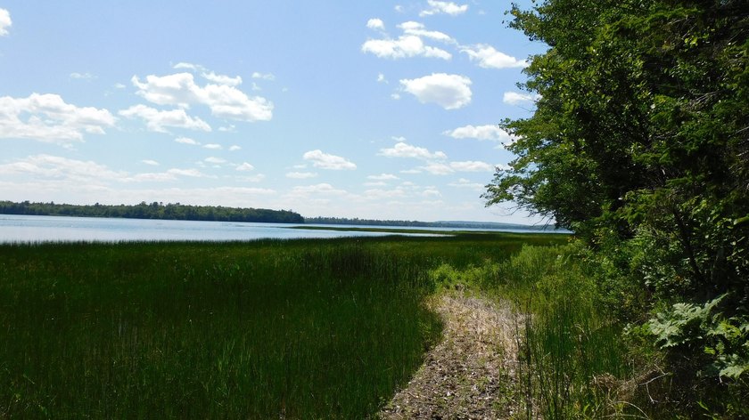 17 +/- acres with 700' +/- shorefront on Boyden's Lake with a - photo 13
