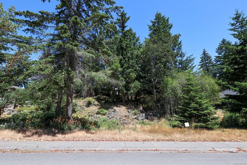 An exceptional opportunity to build your dream home in - photo 15