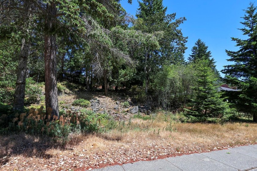 An exceptional opportunity to build your dream home in - photo 17