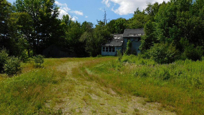 17 +/- acres with 700' +/- shorefront on Boyden's Lake with a - photo 20