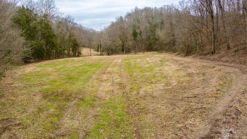 Escape to this exceptional 383.163+/- acre vacant land parcel - photo 22