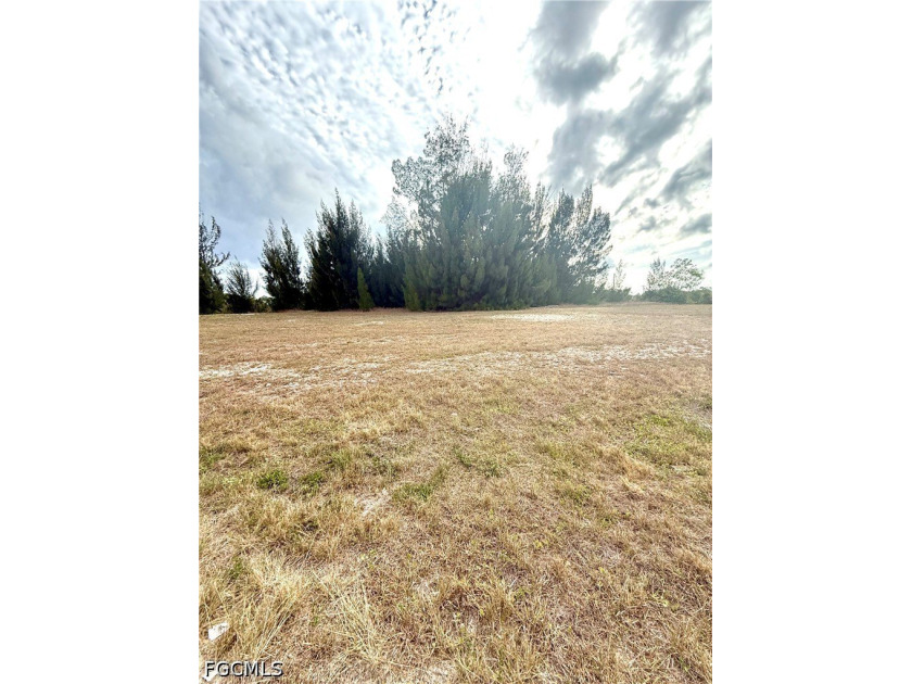 Build your dream home on this rare oversized waterfront lot - photo 8