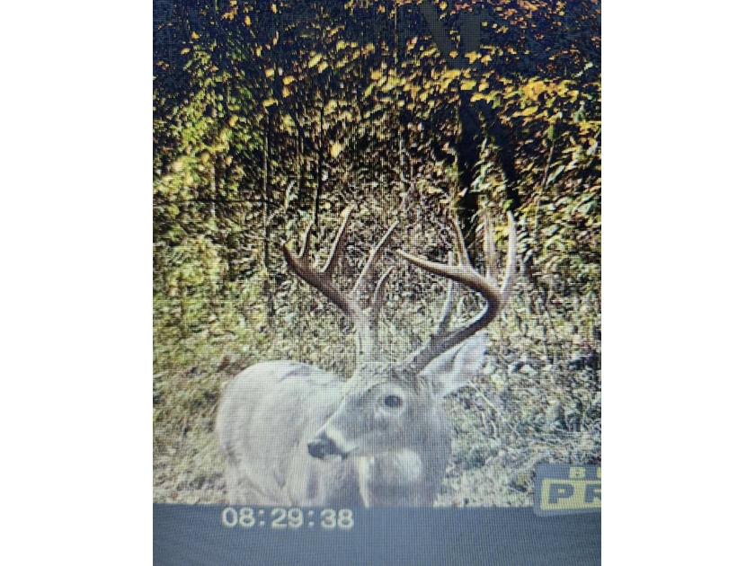 Escape to this exceptional 383.163+/- acre vacant land parcel - photo 50