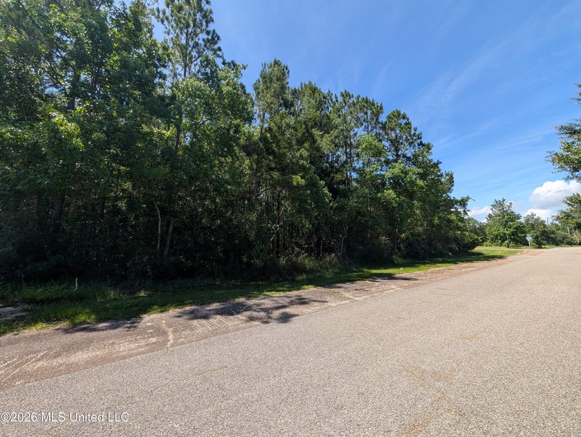 Calling all Aviators - This wonderful corner lot offers 112+/- - photo 12