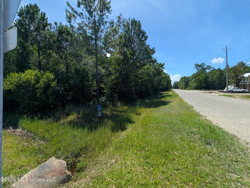 Calling all Aviators - This wonderful corner lot offers 112+/- - photo 15
