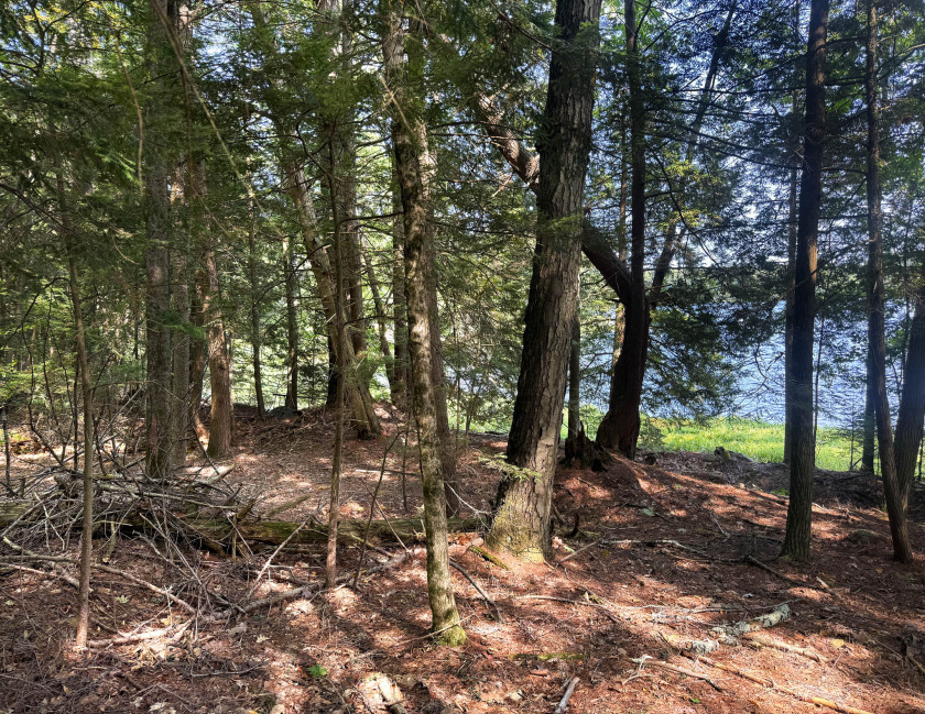 TimberRidge New construction, 236' shore,3 acre gorgeous site - photo 4