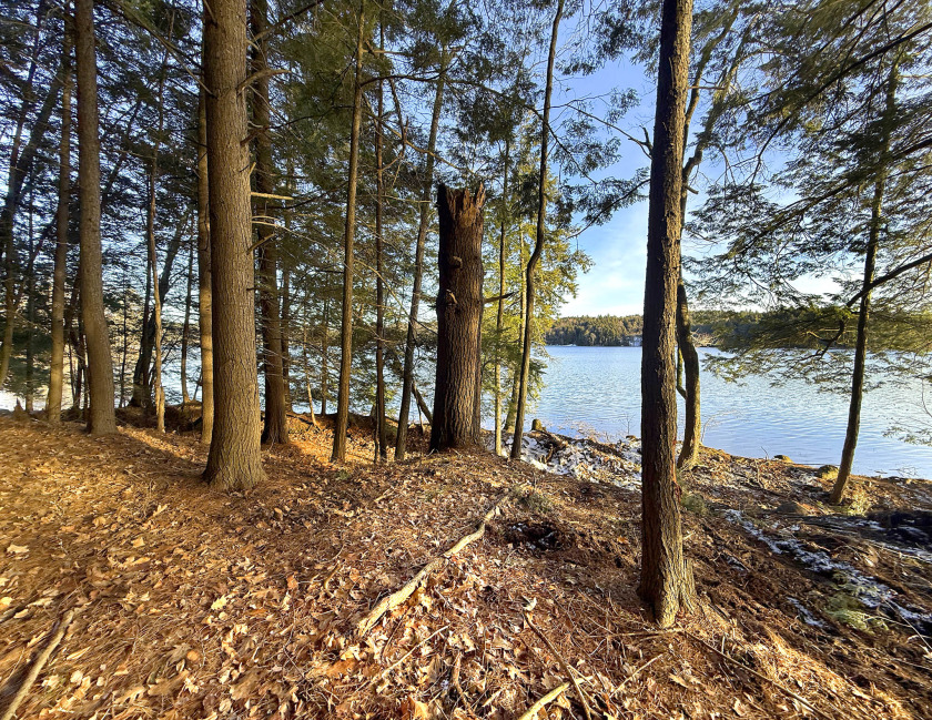 TimberRidge New construction, 236' shore,3 acre gorgeous site - photo 5