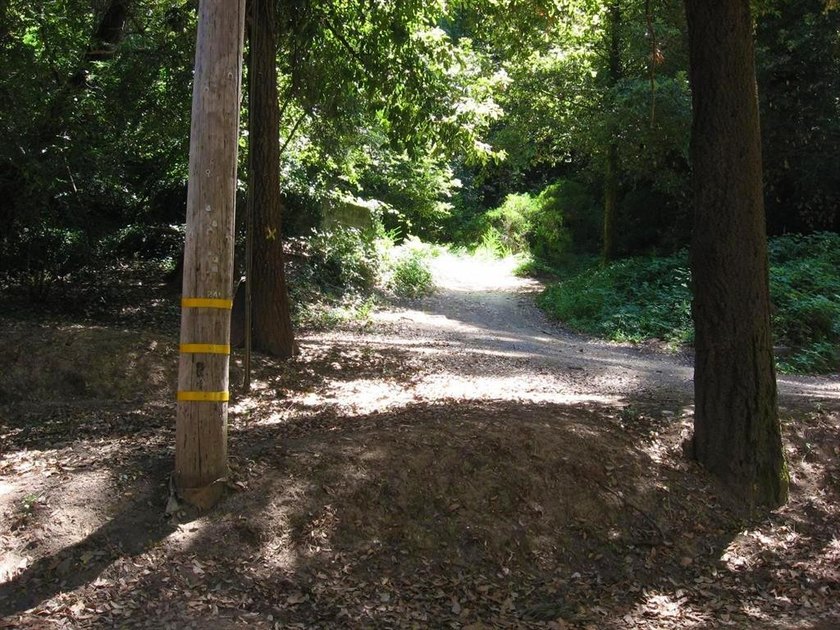 You can drive onto this one and the County will probably allow a - photo 4