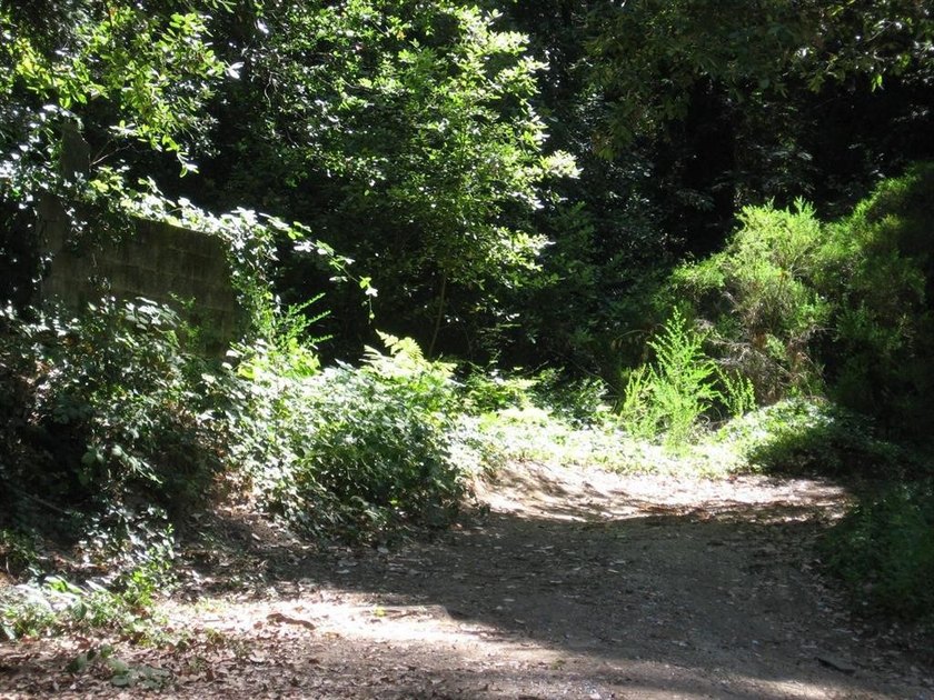 You can drive onto this one and the County will probably allow a - photo 5