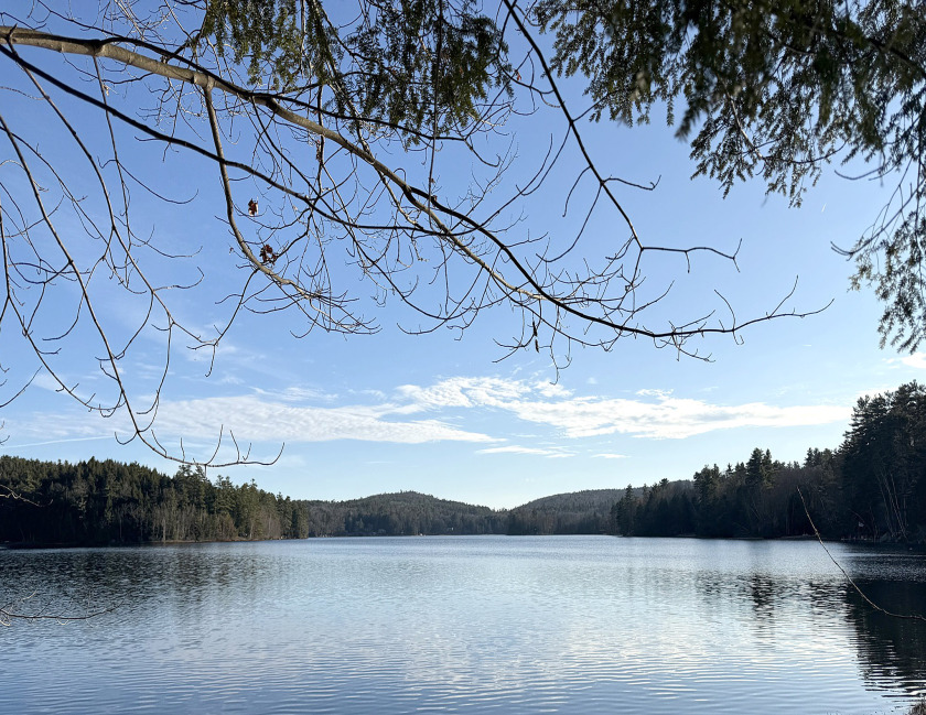 TimberRidge New construction, 236' shore,3 acre gorgeous site - photo 2