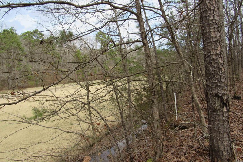 Three beautiful large wooded golf course lots, all with only one - photo 12