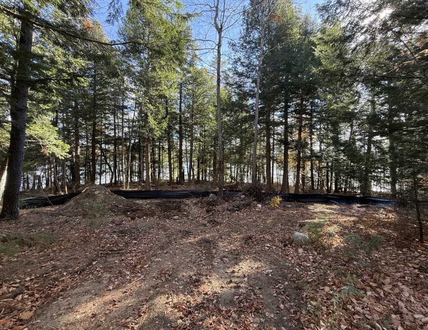 TimberRidge New construction, 236' shore,3 acre gorgeous site - photo 6