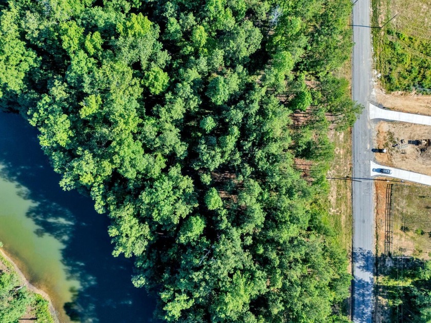 MOTIVATED SELLER! If you are looking for a great lot with a - photo 11