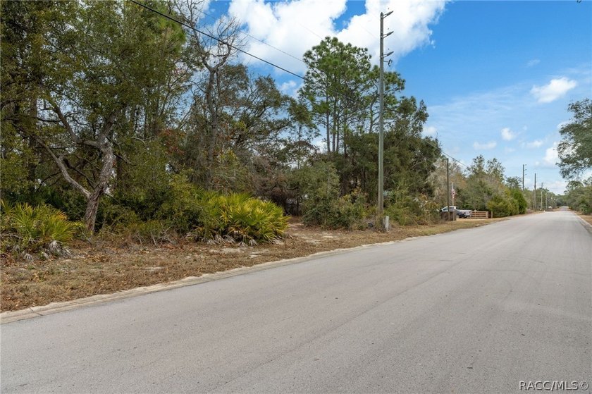 Here is a great building lot for your new single family home - photo 20